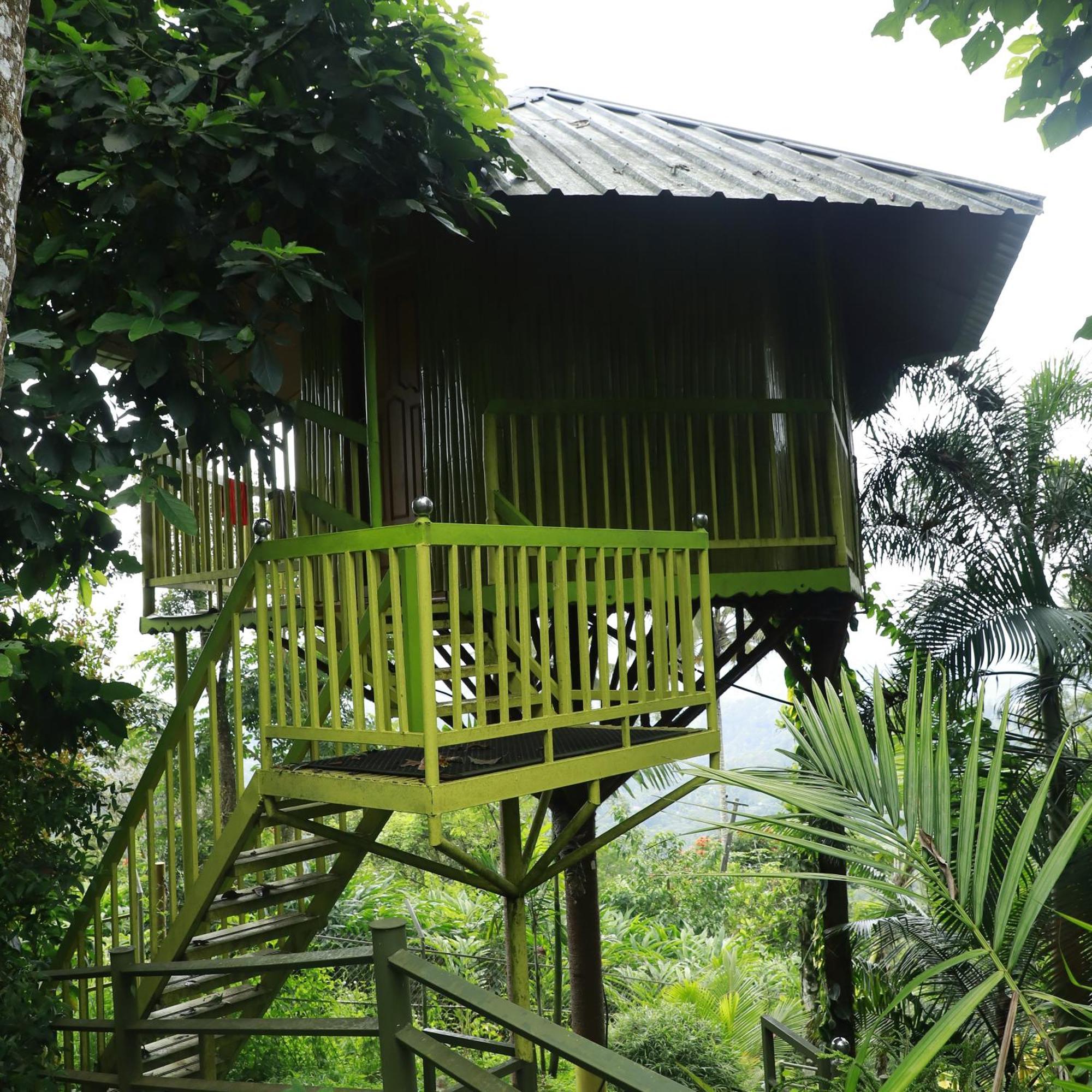 Nature Villa Anachal Экстерьер фото